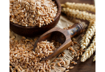 Farro